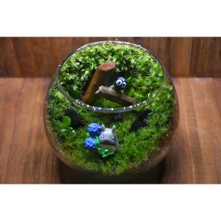 苔テラリウム_179の通販 by kokemaru_holder's shop｜ラクマ