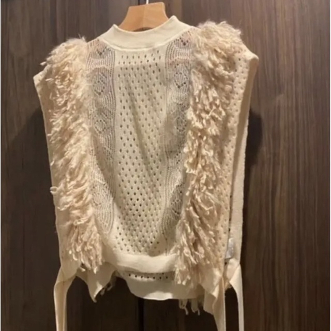 LEINWANDE Mixed Fringe Crop Top レディースのトップス(ベスト/ジレ)の商品写真