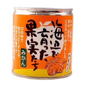 海辺で育った果実たち みかん 6個セット【長期保存・食料備蓄】(缶詰/瓶詰)