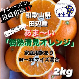 ②和歌山県田辺産 清見 きよみ 清美 柑橘 蜜柑 みかん 訳あり2kg(フルーツ)