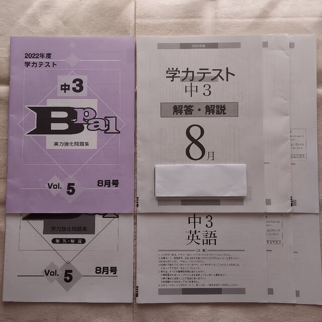 2022年度8月 / 中3 実力強化問題集(Bpal)+学力テスト(主要5教科) エンタメ/ホビーの本(資格/検定)の商品写真