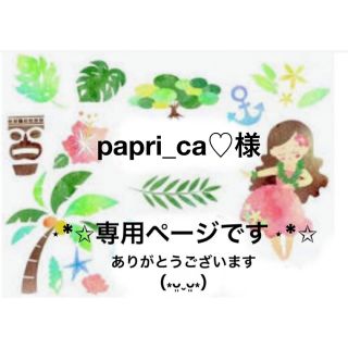 papri_ca♡様⋆*専用ページです(*ᴗ͈ˬᴗ͈)ꕤ*.゜(カード/レター/ラッピング)