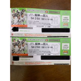 ハンシンタイガース(阪神タイガース)の5月26日　甲子園　阪神vs巨人　グリーンシート通路側2席(野球)