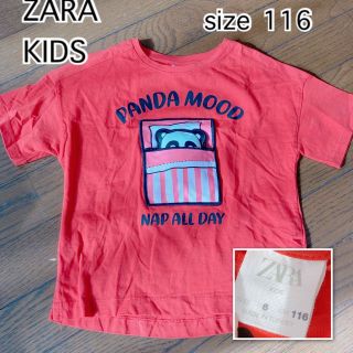 ザラキッズ(ZARA KIDS)のZARA KIDS ザラキッズ　パンダ　Tシャツ レッド　116(Tシャツ/カットソー)