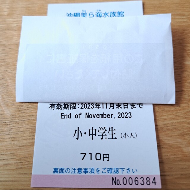 沖縄　美ら海水族館　小人　小中学生　チケット　二枚 チケットの施設利用券(遊園地/テーマパーク)の商品写真