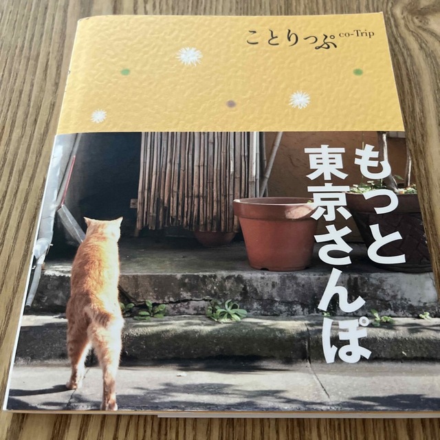旺文社(オウブンシャ)のもっと東京さんぽ エンタメ/ホビーの本(地図/旅行ガイド)の商品写真