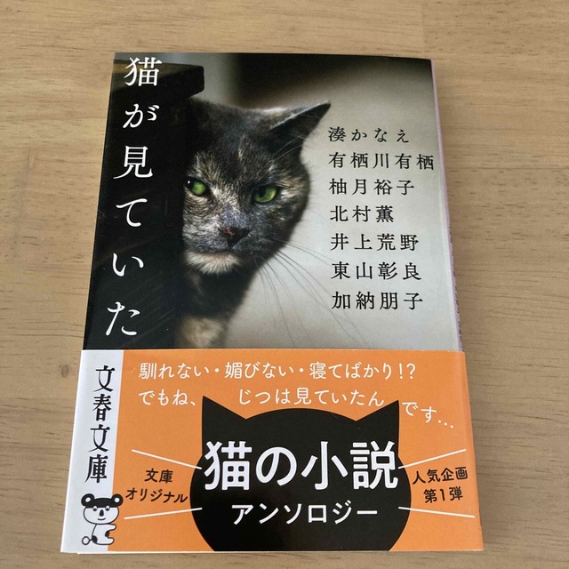 猫が見ていた エンタメ/ホビーの本(文学/小説)の商品写真