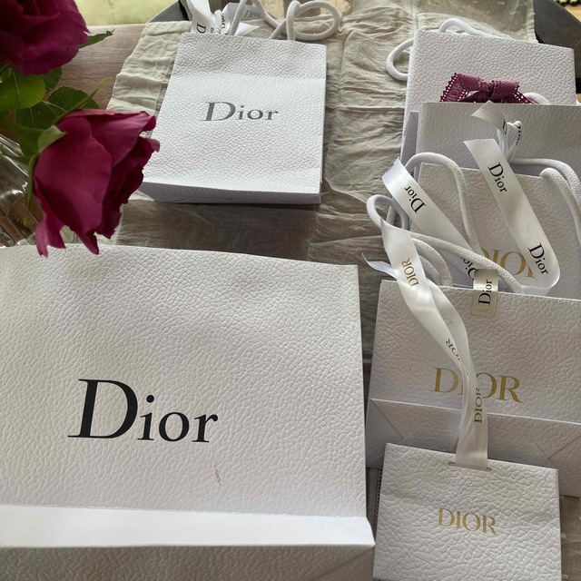 Dior(ディオール)のショップ袋 レディースのバッグ(ショップ袋)の商品写真