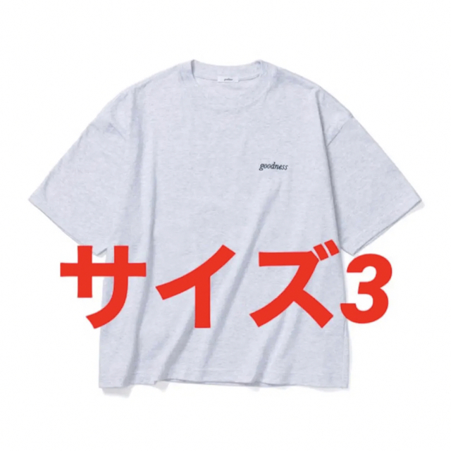サイズ3 goodness logo crew neck T-shirt 経典ブランド blog.skash.com