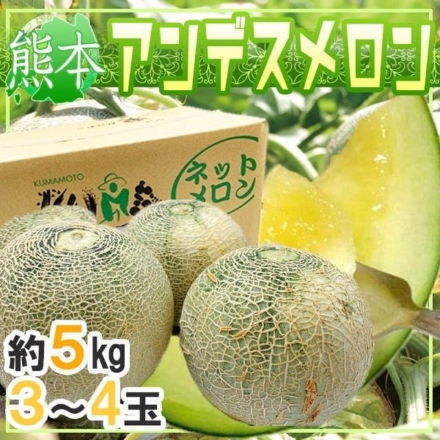 熊本県産　アンデスメロン　3-4玉　約5kg 良品