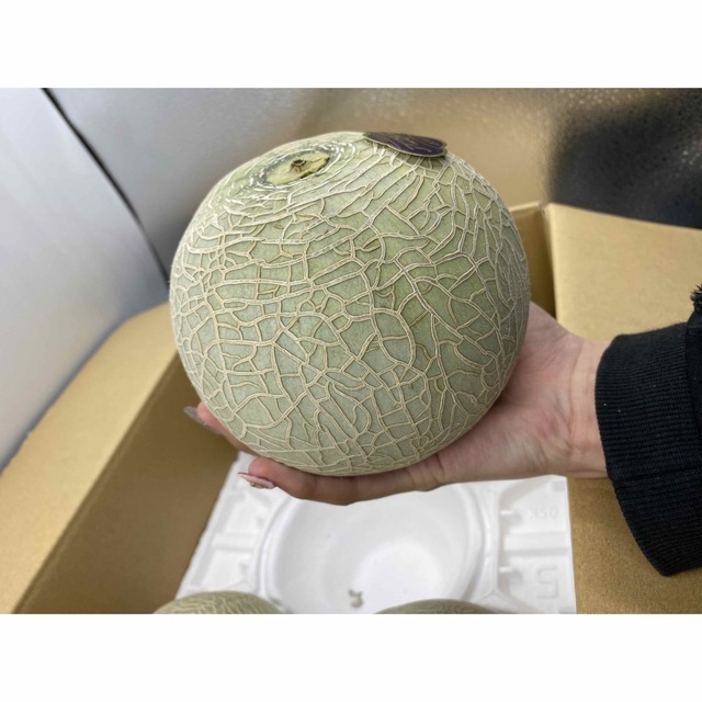 熊本県産　アンデスメロン　3-4玉　約5kg 良品 食品/飲料/酒の食品(フルーツ)の商品写真