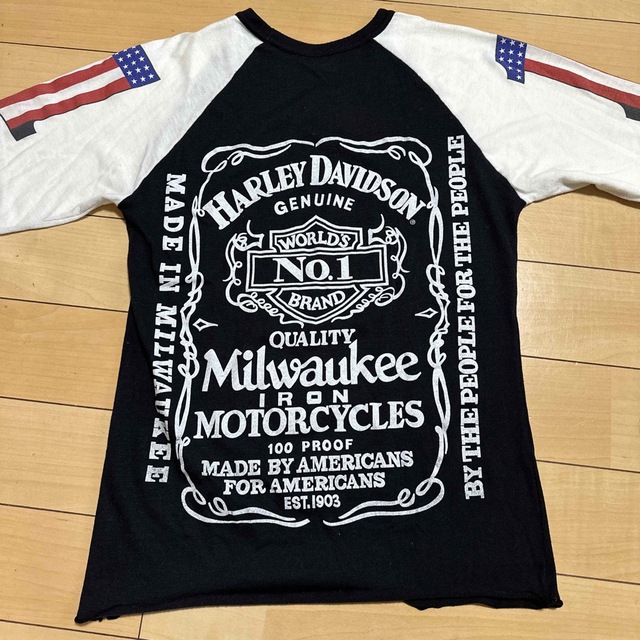 Harley Davidson(ハーレーダビッドソン)のヴィンテージ　ハーレー　ラグランT メンズのトップス(Tシャツ/カットソー(七分/長袖))の商品写真