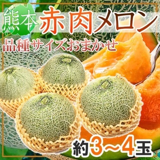 熊本県産　赤肉メロン　3-4玉　約5kg 良品(フルーツ)