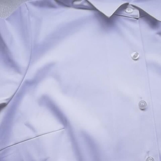 [ユニレディ] スーツジャケット 半袖ニットブラウス レディース 21-白 7号 レディースのトップス(シャツ/ブラウス(半袖/袖なし))の商品写真