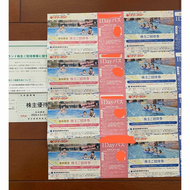 東京サマーランド株主優待券　8枚 チケットの施設利用券(遊園地/テーマパーク)の商品写真