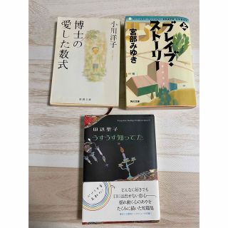 3冊まとめ売り　　ブレイブストーリー上　他(文学/小説)