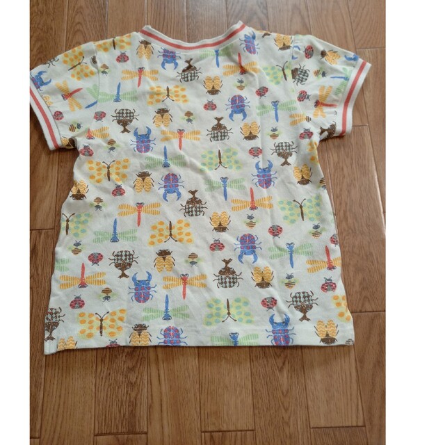 Bit'z(ビッツ)のビッツ　昆虫　ポロシャツ　120 キッズ/ベビー/マタニティのキッズ服男の子用(90cm~)(Tシャツ/カットソー)の商品写真