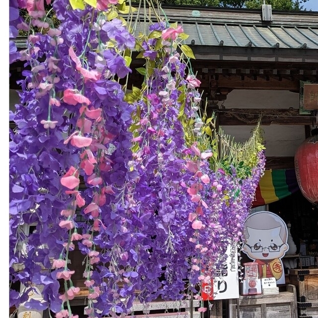 ファッションセール 【うめあん様専用】ステキな藤のお花 切り絵