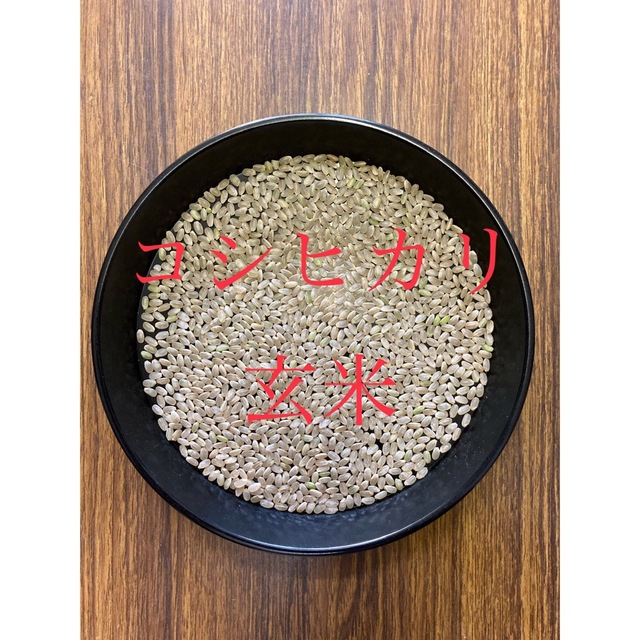特売中！！4年産『特別栽培米・丹後産コシヒカリ』送料無料、精米サービスします。　米/穀物