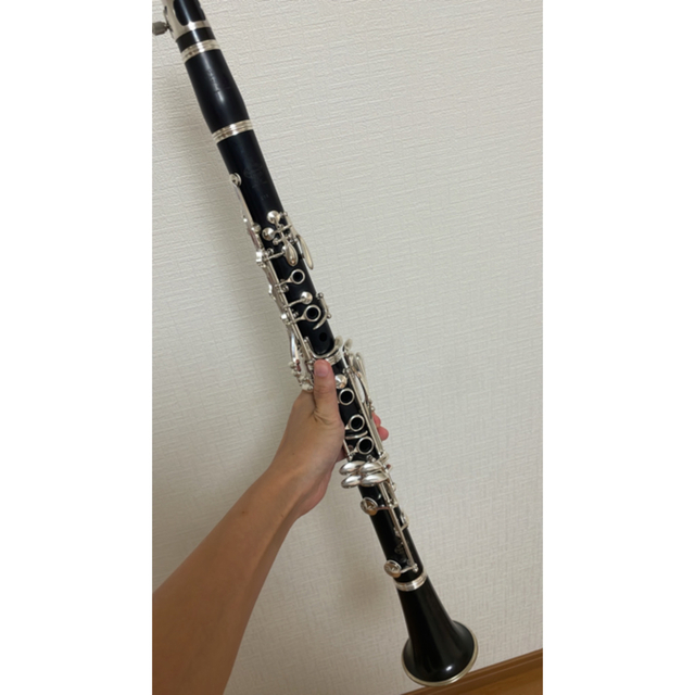 超希少 TheoWanne GAIA 2 セオワニ B♭クラリネット用 | www.ibnuumar