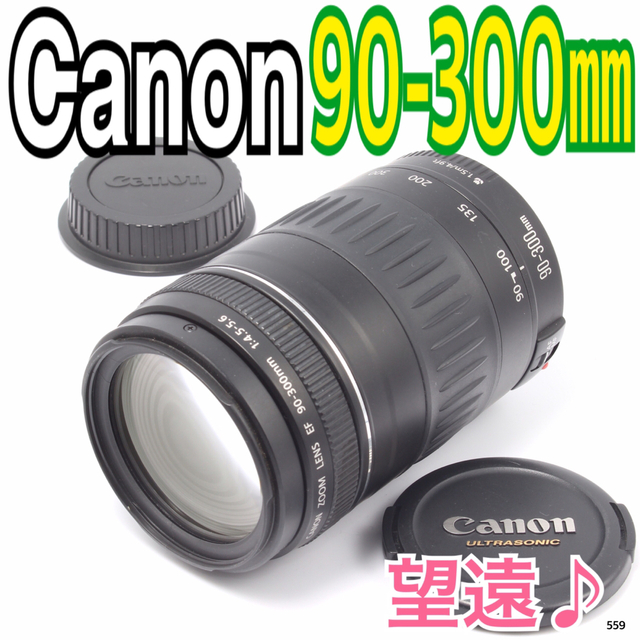 望遠レンズ望遠レンズ Canon キヤノン 90-300mm 迫力の300㎜！LENS