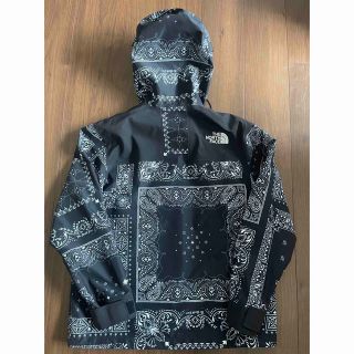 THE NORTH FACE - ノベルティGTXマウンテンジャケット ノース