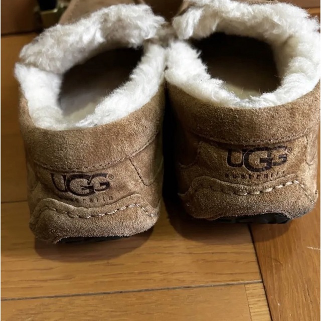 UGG(アグ)のUGG Ascot メンズの靴/シューズ(スリッポン/モカシン)の商品写真