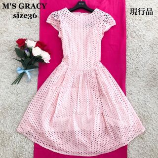 エムズグレイシー ひざ丈ワンピース(レディース)の通販 8,000点以上 エムズグレイシー ひざ丈ワンピース(レディース)の通販 8,000点以上