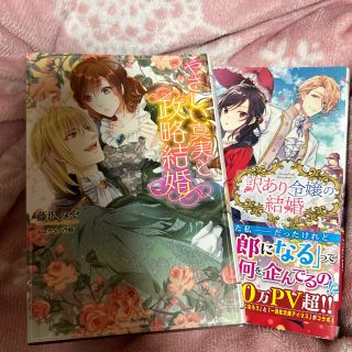 訳あり令嬢の結婚、やさしい真実と政略結婚(文学/小説)