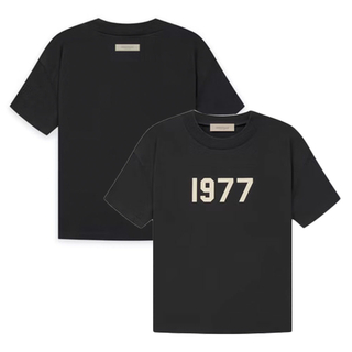 1977 T-Shirt TシャツM(Tシャツ/カットソー(半袖/袖なし))
