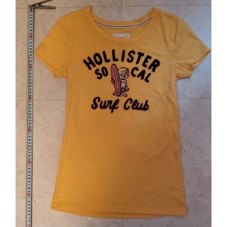 ホリスター(Hollister)のハワイ限定 HOLLISTER ホリスター Tシャツ Lサイズ(Tシャツ(半袖/袖なし))