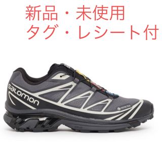 サロモン(SALOMON)の27㎝ SALOMON XT-6 GTX GORE-TEX LUNAR Rock(スニーカー)