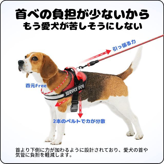 色: オレンジ】犬 ハーネス 小型犬 セット 犬用胴輪 調節可能 LEDランプ