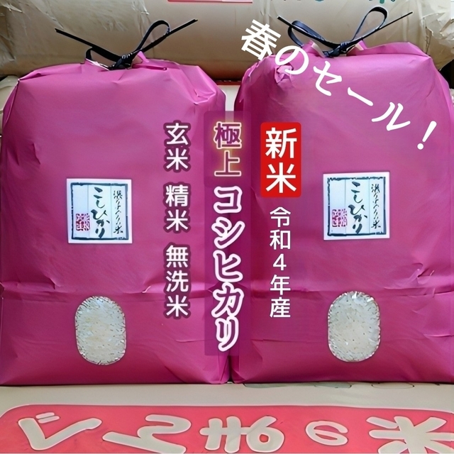 春のセール！新米！令和4年産！極上コシヒカリ！玄米or精米or無