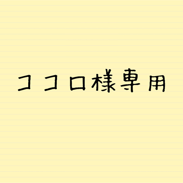 kokoroさま専用です - www.sorbillomenu.com