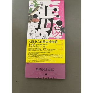 国立科学博物館　毒展チケット2枚(美術館/博物館)