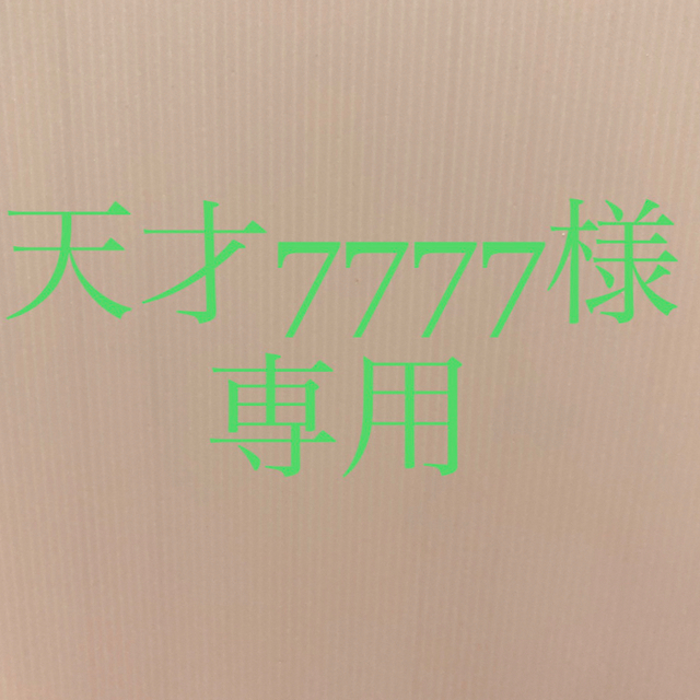 メーカー直売】 天才7777様専用ページ