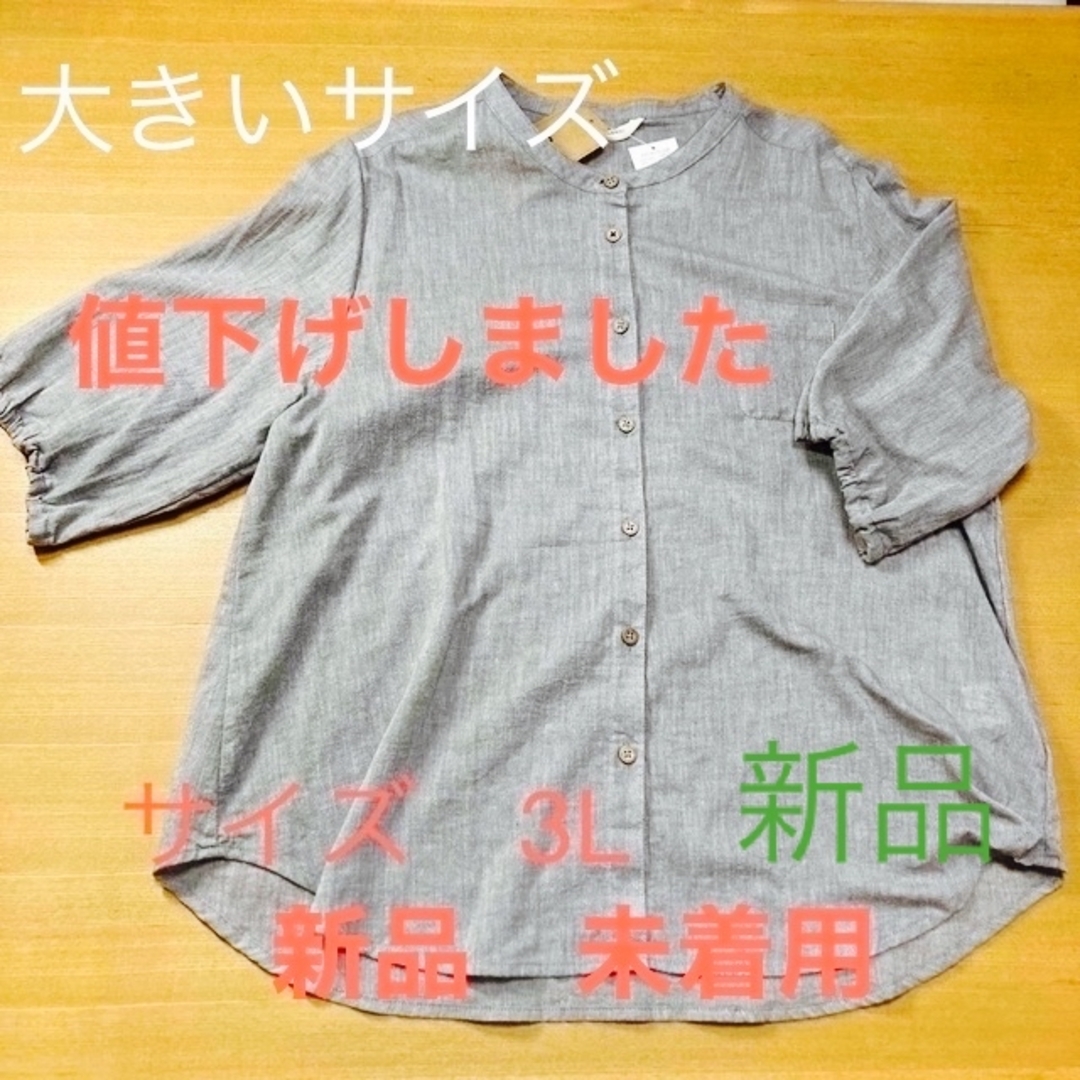 レディース　半袖シャツブラウス レディースのトップス(シャツ/ブラウス(半袖/袖なし))の商品写真