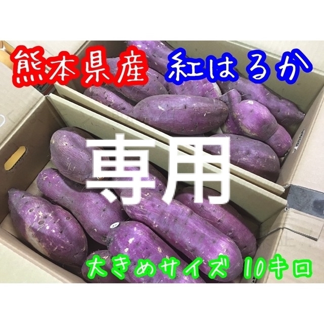 熊本県産 紅はるか 大サイズ 箱込10㌔ 食品/飲料/酒の食品(野菜)の商品写真