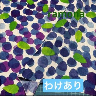 マリメッコ(marimekko)のMOE様❤️ 訳あり 廃番カラー マリメッコ 生地 ムスティッカマア(生地/糸)