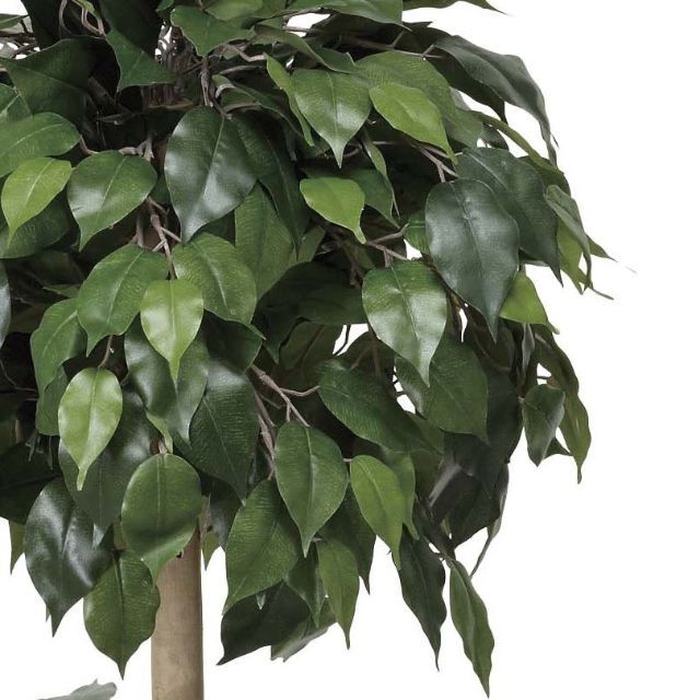 日本製 高さ1.2m 〇日本製〇フェイクグリーン 1.2 植物/観葉植物