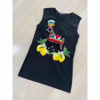 ドルチェアンドガッバーナ(DOLCE&GABBANA)のドルチェ&ガッバーナ　40(Tシャツ(半袖/袖なし))