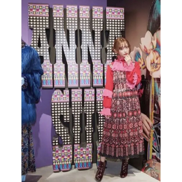 定価82.080円 ANNASUI マキシワンピース 猫フクロウプリント