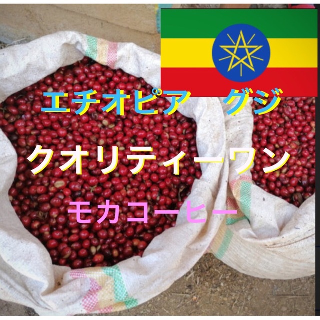 エチオピア クオリティーワン モカコーヒー生豆900g焙煎してません！ 通販