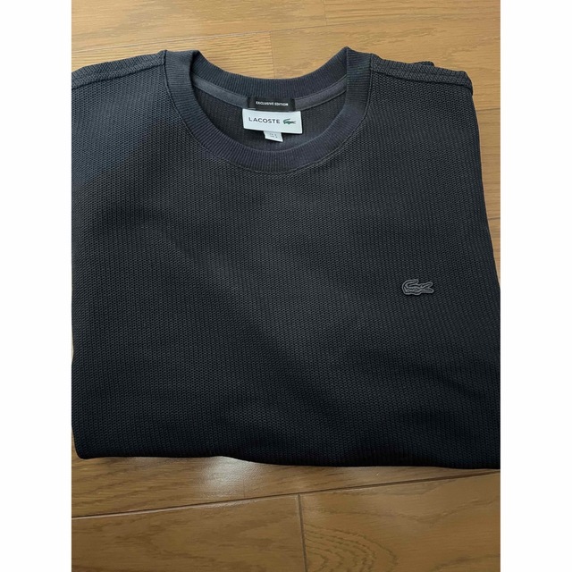 LACOSTE(ラコステ)の＜LACOSTE＞ 1TONE LONG SLEEVE T-SHIRTカットソー メンズのトップス(Tシャツ/カットソー(七分/長袖))の商品写真