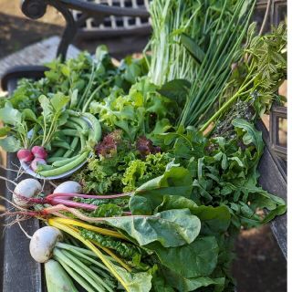 無農薬野菜セット　らいなす様専用(野菜)