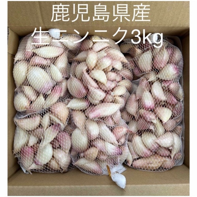 生ニンニク3kg  鹿児島県産 食品/飲料/酒の食品(野菜)の商品写真