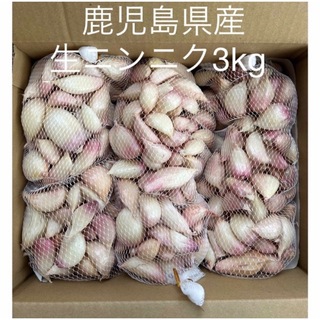 生ニンニク3kg  鹿児島県産(野菜)