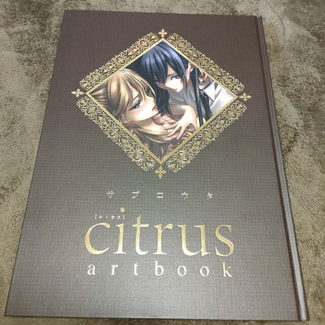 citrus art book サブロウタ 画集