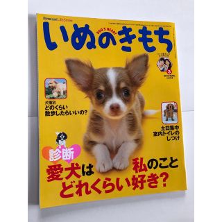 いぬのきもち　2010年　3月号(専門誌)